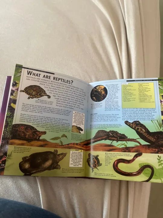 Livro World of Animals - Foto 3