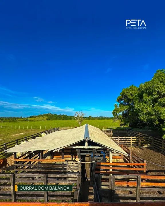 Fazenda Financiável | Psicultura | Pecuária | Vicinal 2 - Cantá  - Foto 2