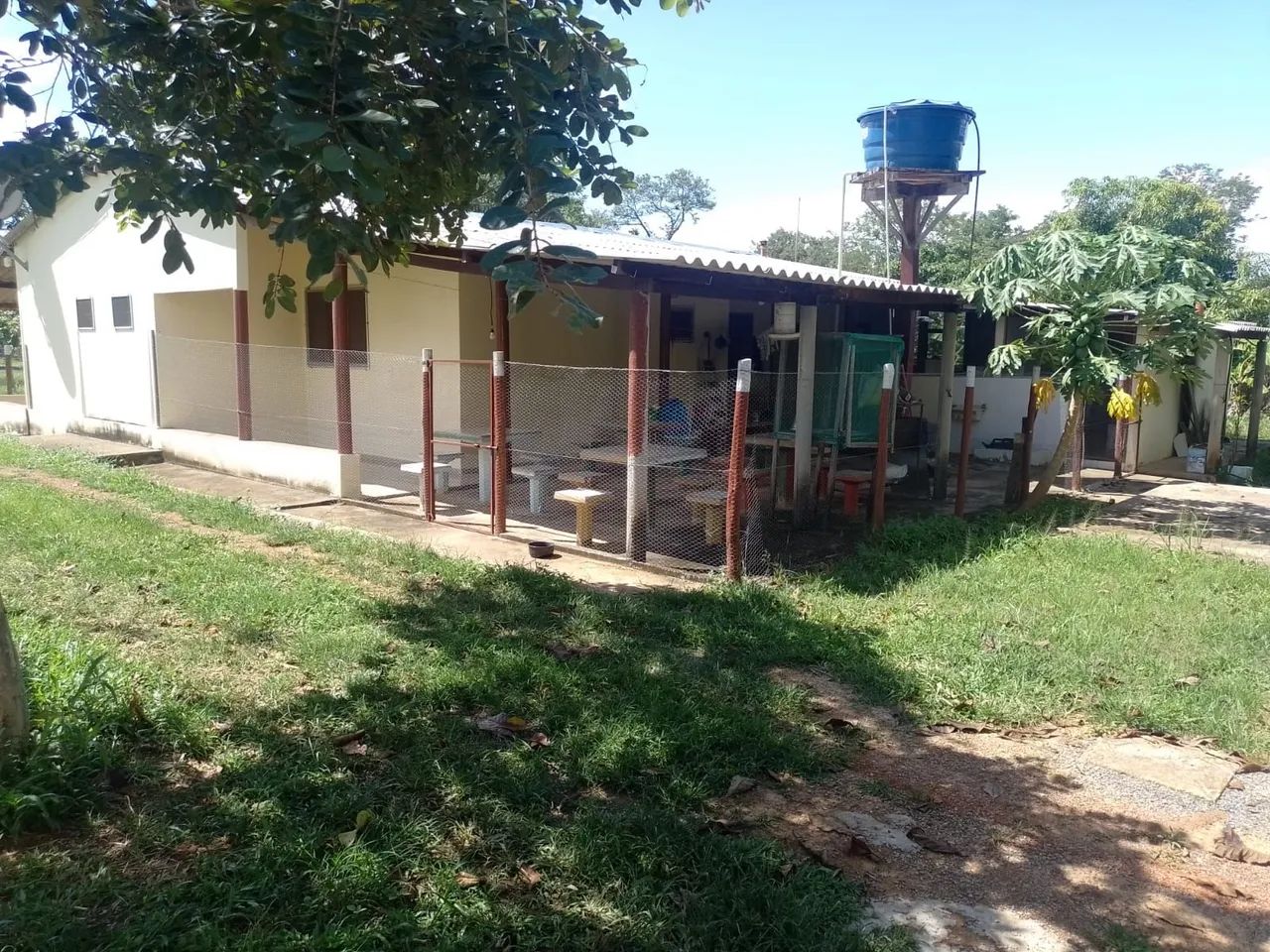 Fazenda Minas Gerais Buritis  - Foto 2