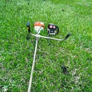 Jardinagem  - Foto 2