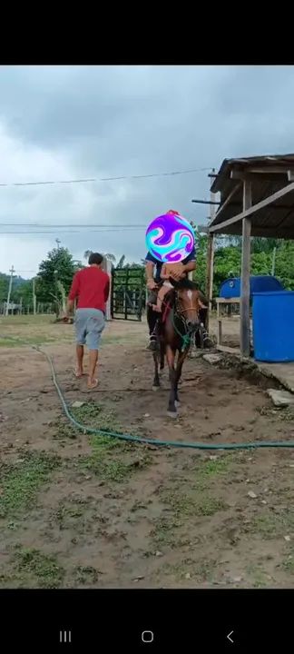 Egua mansa ideal pra criança   - Foto 2