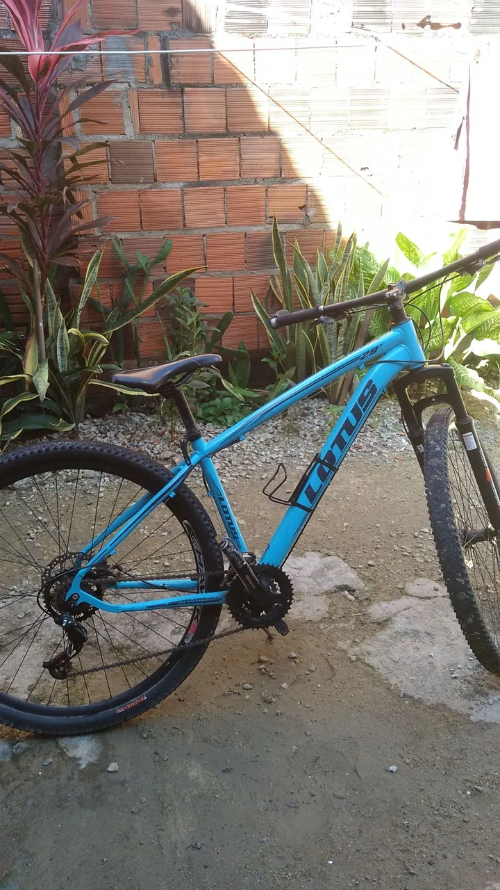 Bicicleta Lotus 29