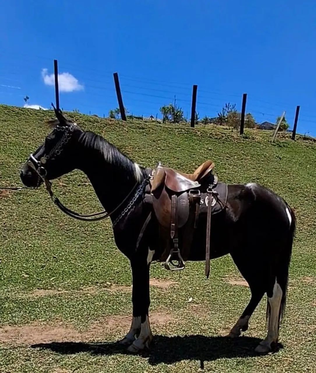 EGUINHA LUXOOO (marcha picada) - Foto 6