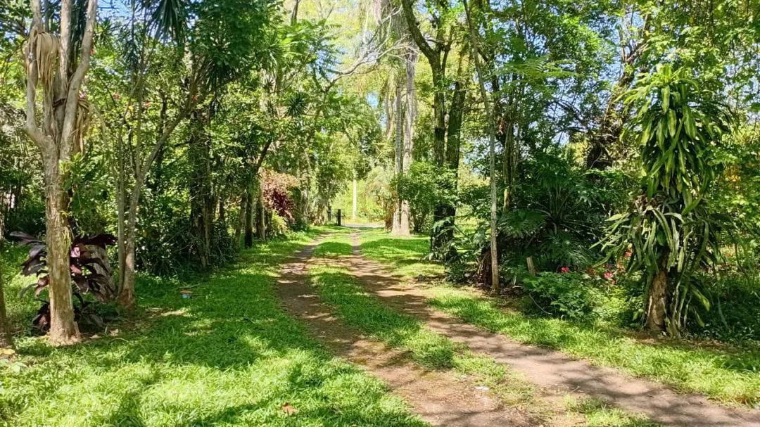 Chácara à venda em Nova Santa Rita - 1,5ha de área próximo à BR-386 REF: CS0109 - Foto 8