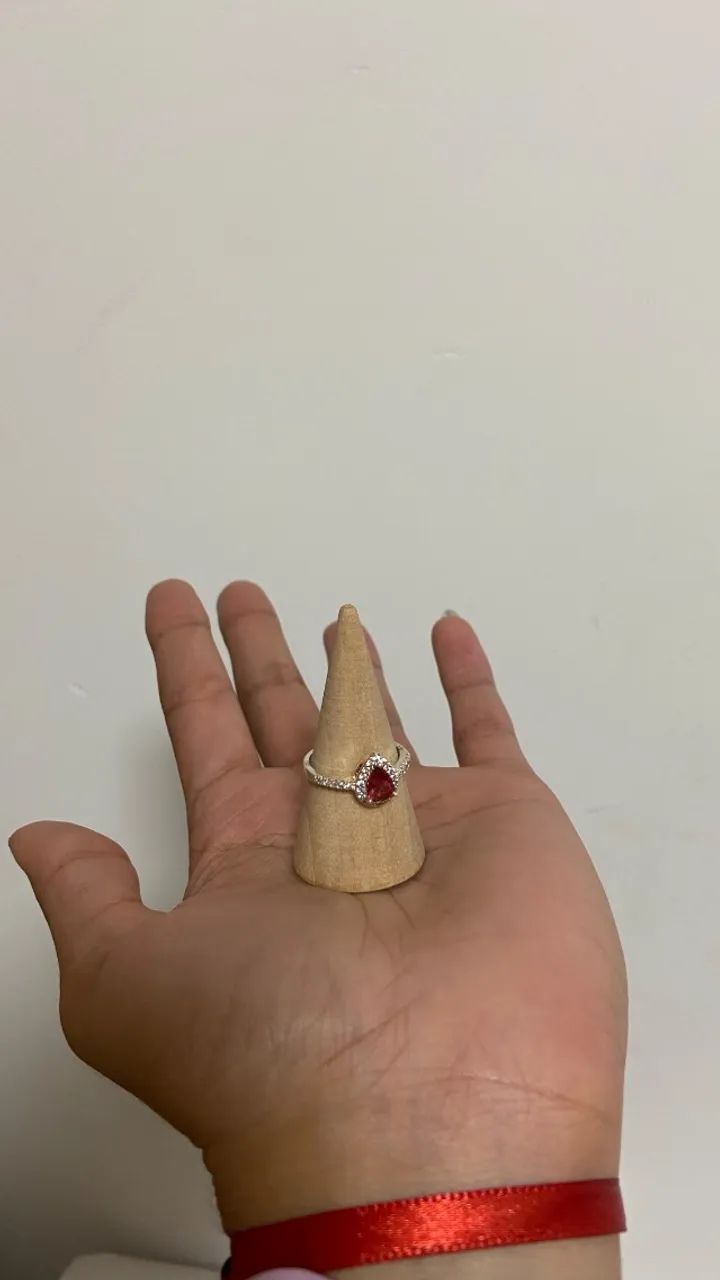 Expositores  - Foto 5