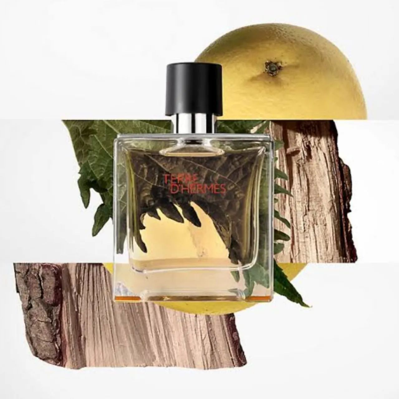 Perfume Terre d'Hermès Eau de Toilette 50ml - Foto 2