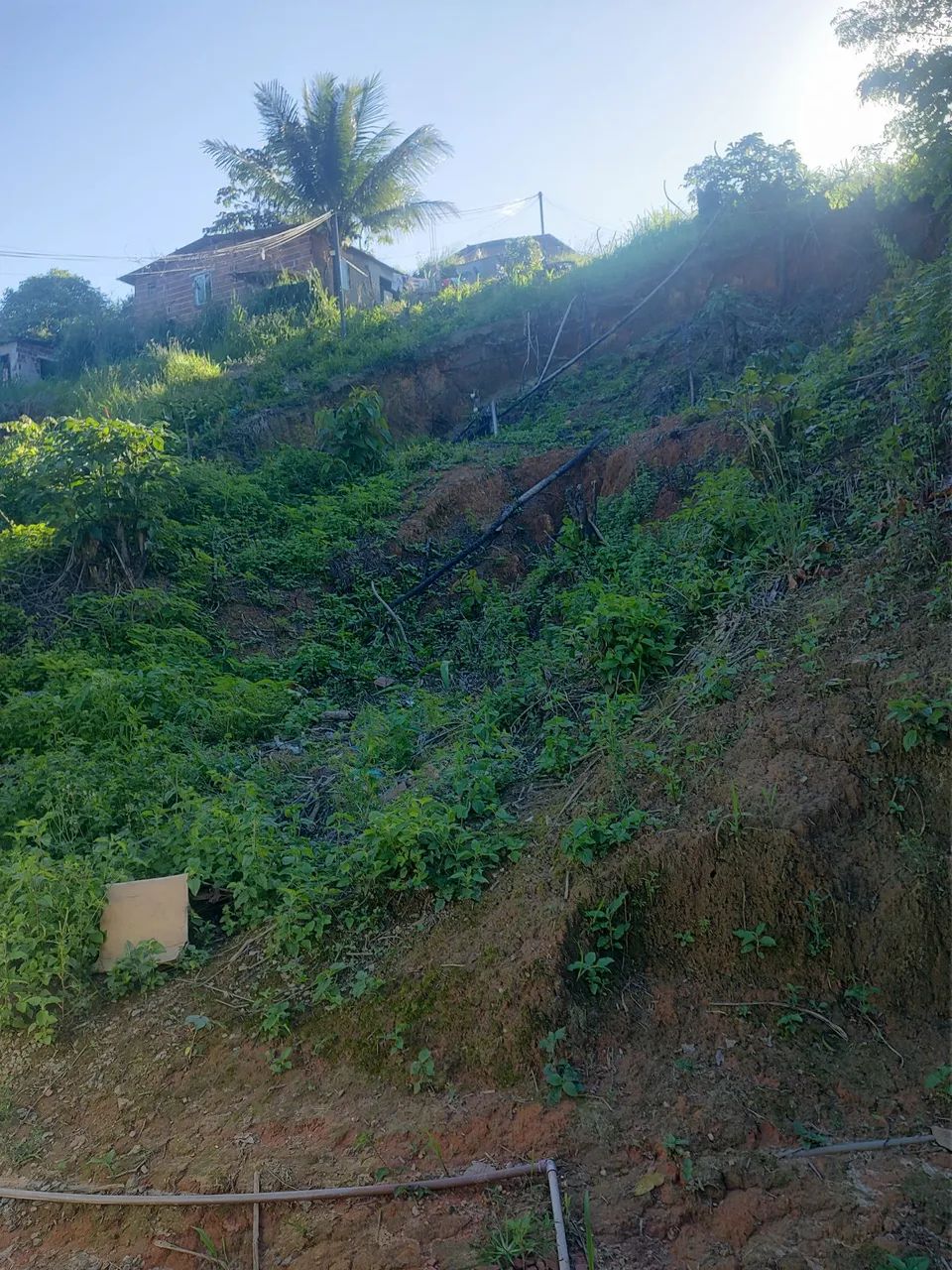 Lindo terreno  - Foto 4