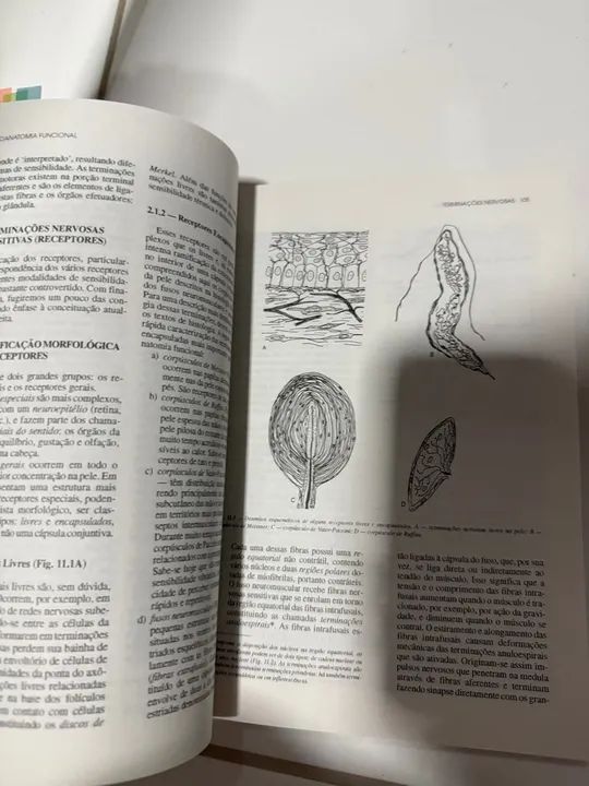 Neuroanatomia Funcional 2ª Edição - Angelo Machado - Foto 3