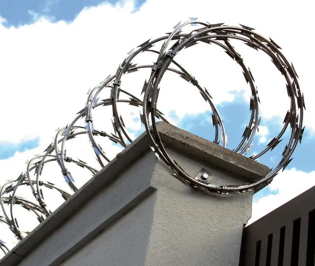 Concertina Serpentina Ouriço 45cm 10mts