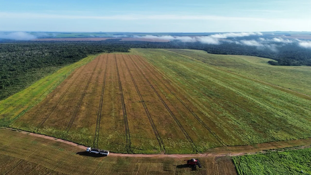 Fazenda à venda em Alto Garças
