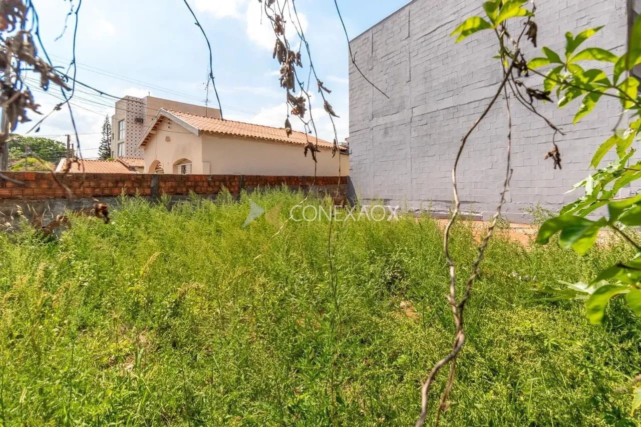 terreno - Vila Marieta - Campinas - Foto 4