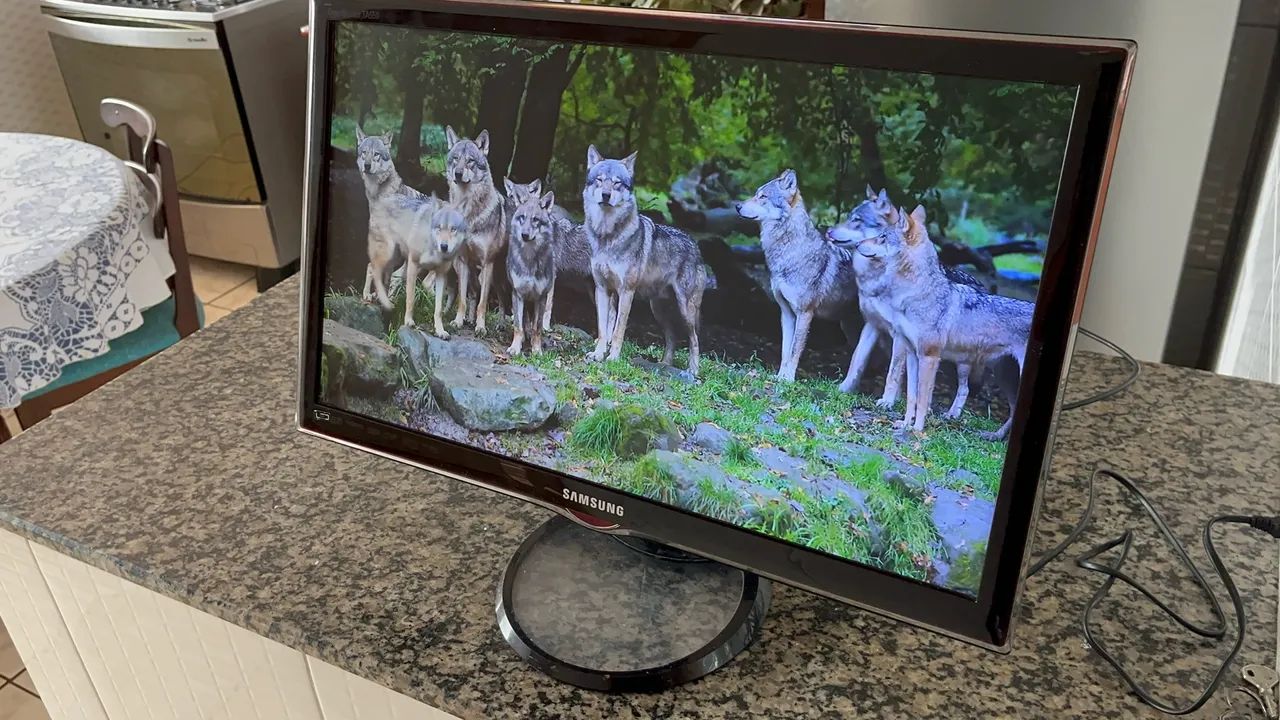 Monitor/tv Samsung 24 polegadas LED 