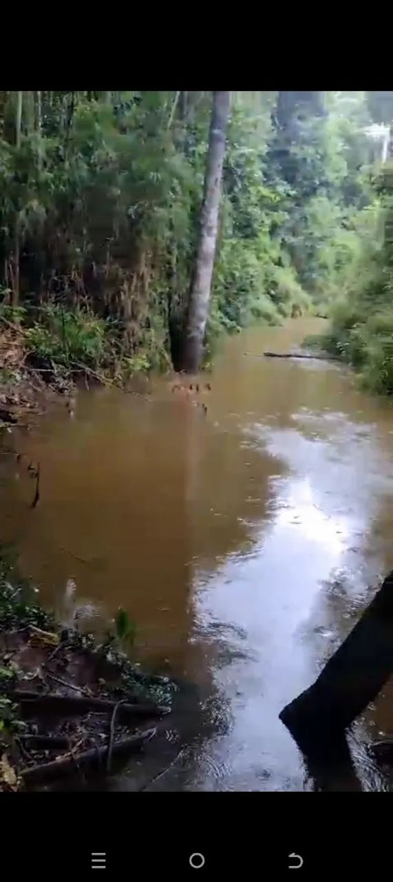 foto - Porto Velho - Cuniã