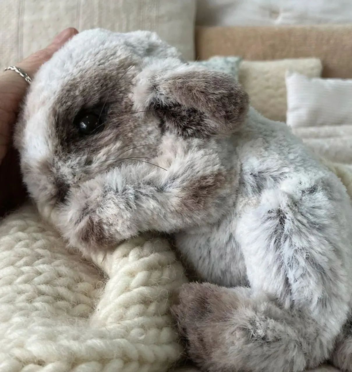 Pelúcia pet reborn - Coelho - Foto 4