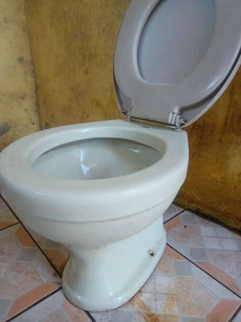 Vaso sanitário com descarga64706578334211121