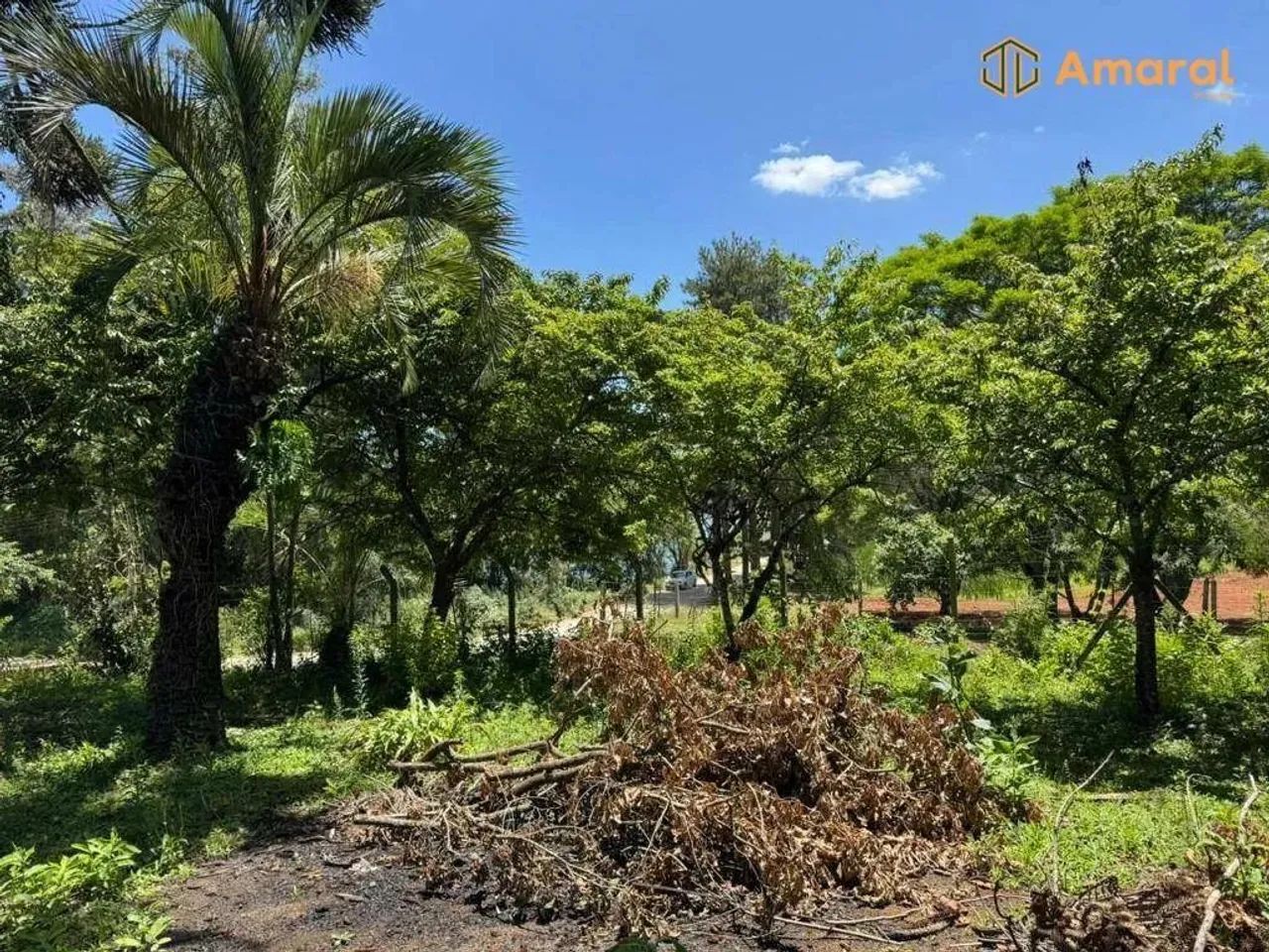 OPORTUNIDADE-100% PLANA - ASFALTADA - Foto 7