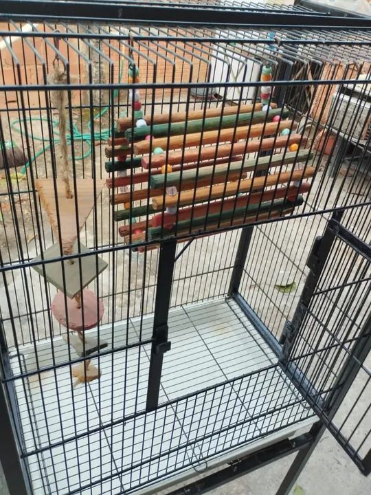 Gaiola para roedores  - Foto 4