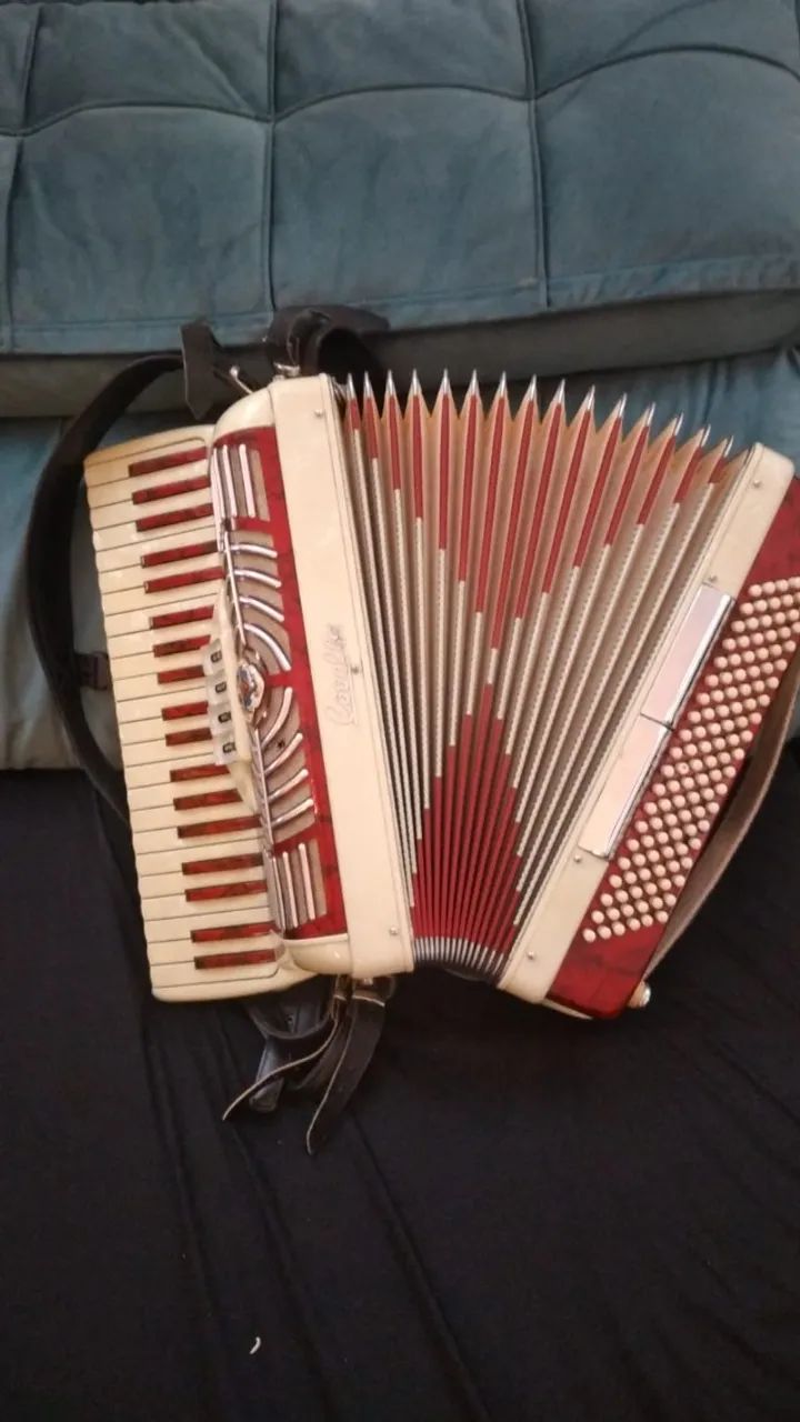 Acordeon/Sanfona/Acordeao