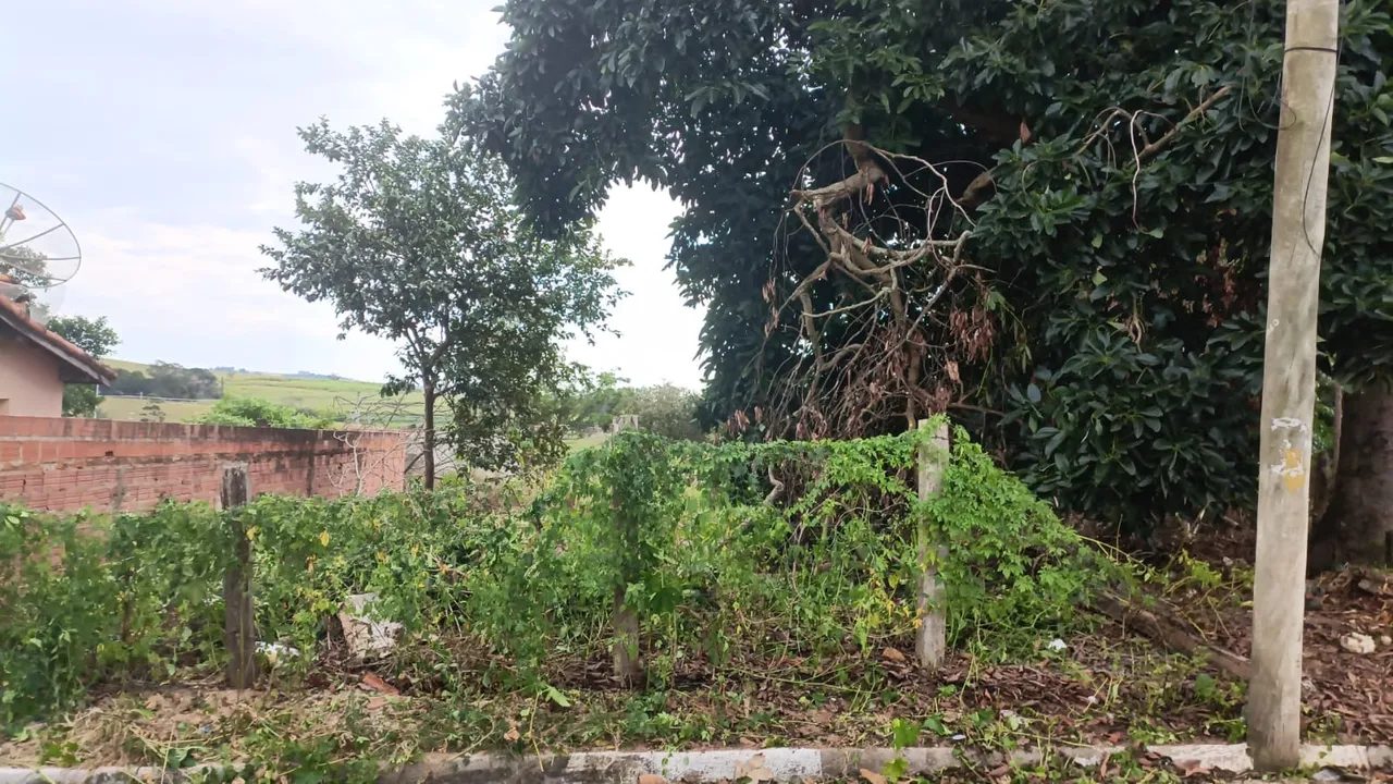 Vende-se Terreno