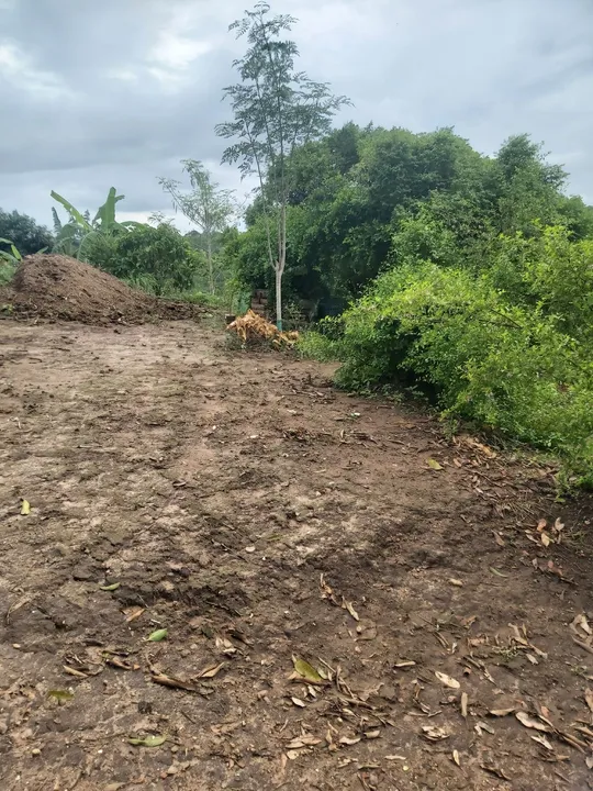 Sítio Alagoa Nova pb 120,00