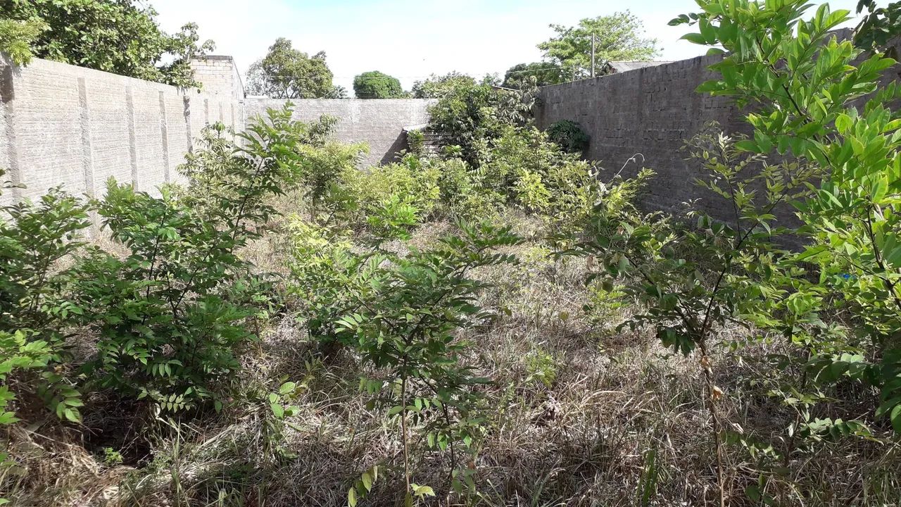 LIMPEZA DE TERRENOS EM GERAL  - Foto 4