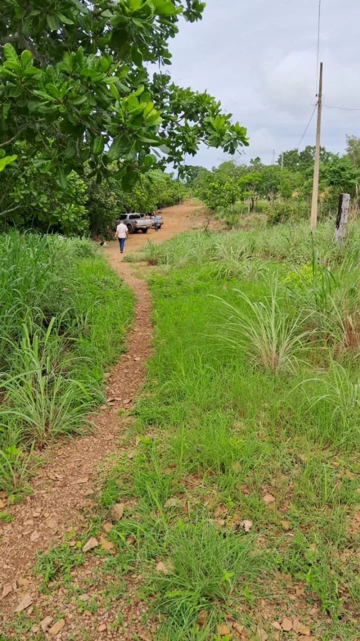 vende se chacara de 33 mil m²  - Foto 2