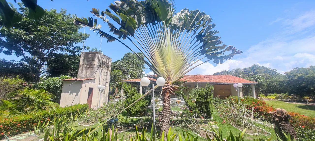 SÍTIO EM PINDORETAMA COM MUITAS BENFEITORIAS - Foto 2