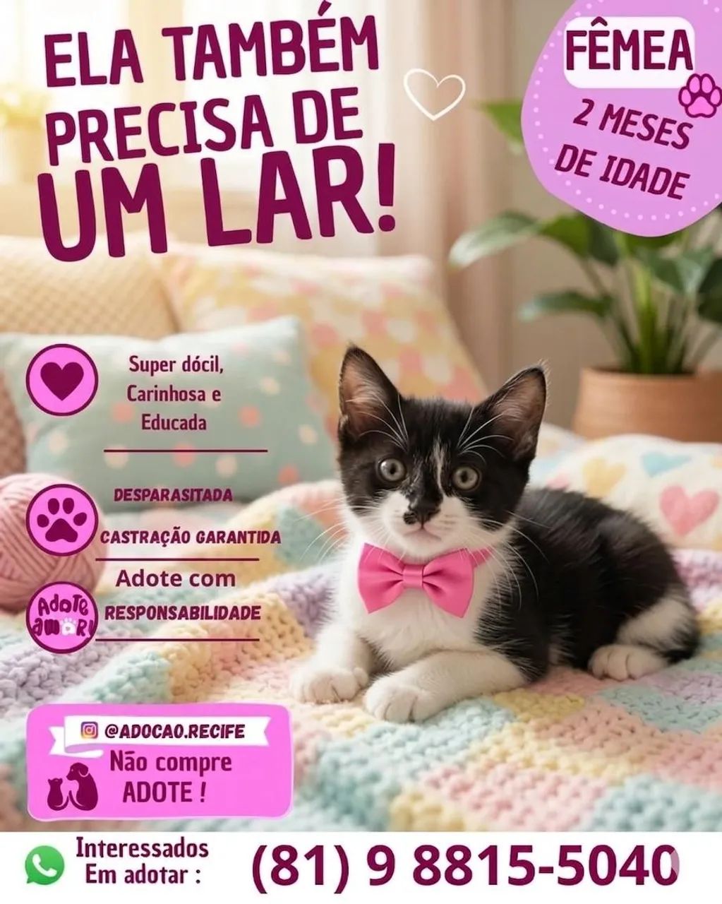 ADOÇÃO RESPONSÁVEL  - Foto 2