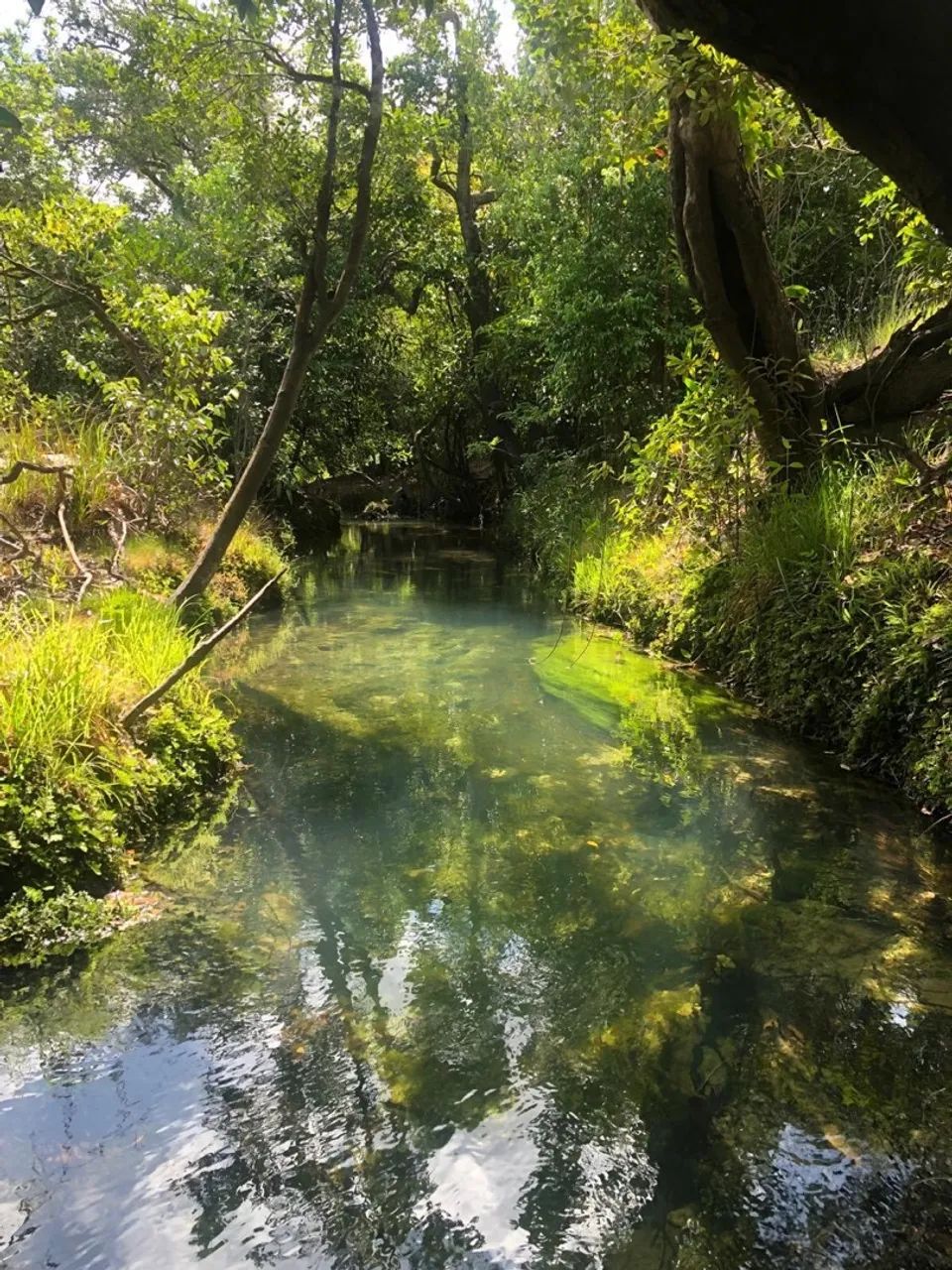 Vende-se banho no água boa de cima  - Foto 3