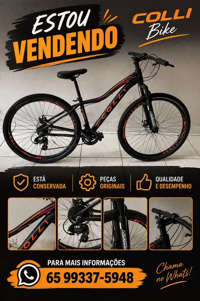 Bicicleta Aro 29 