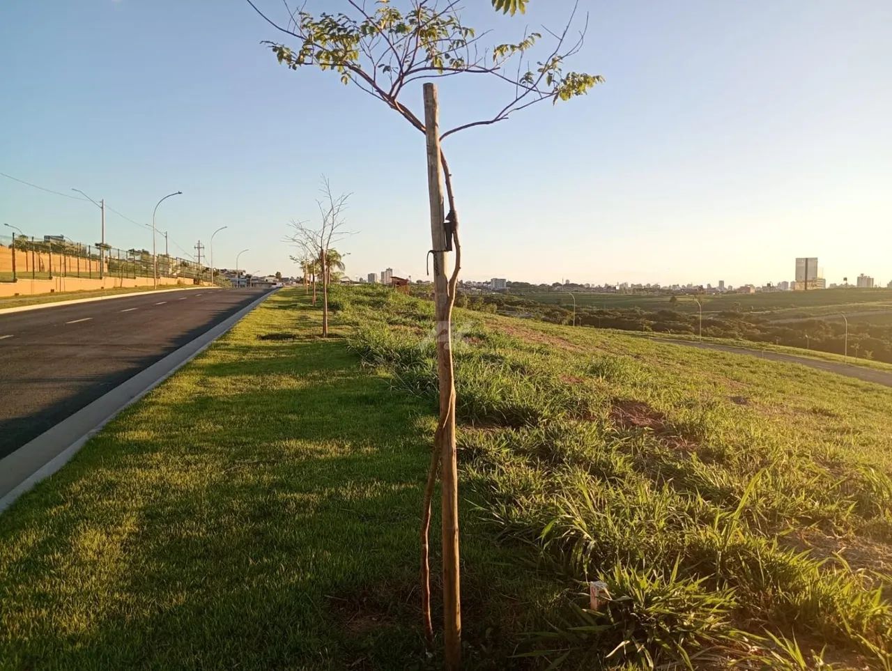 terreno - Alphaville Dom Pedro - Campinas