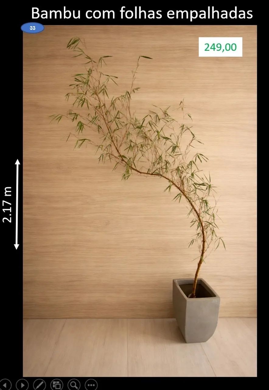 Bambu com folhas empalhadas 