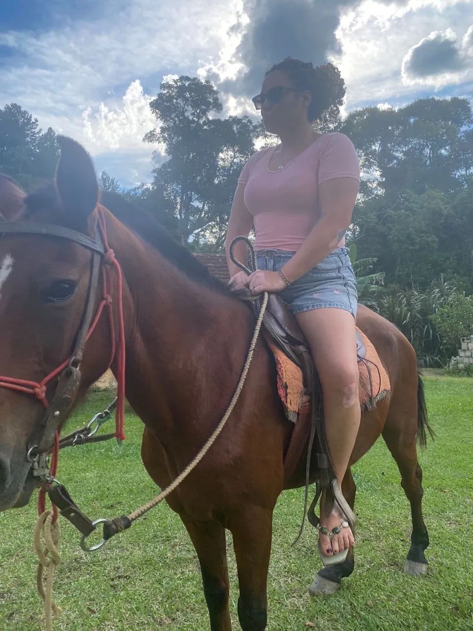 Vendo cavalo