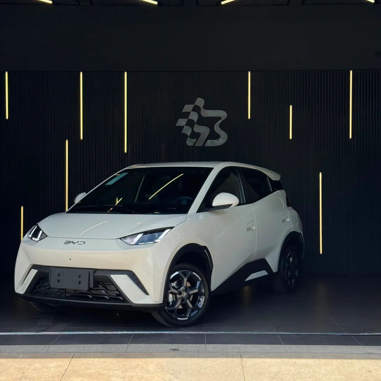 BYD Dolphin Mini (Elétrico) 2027