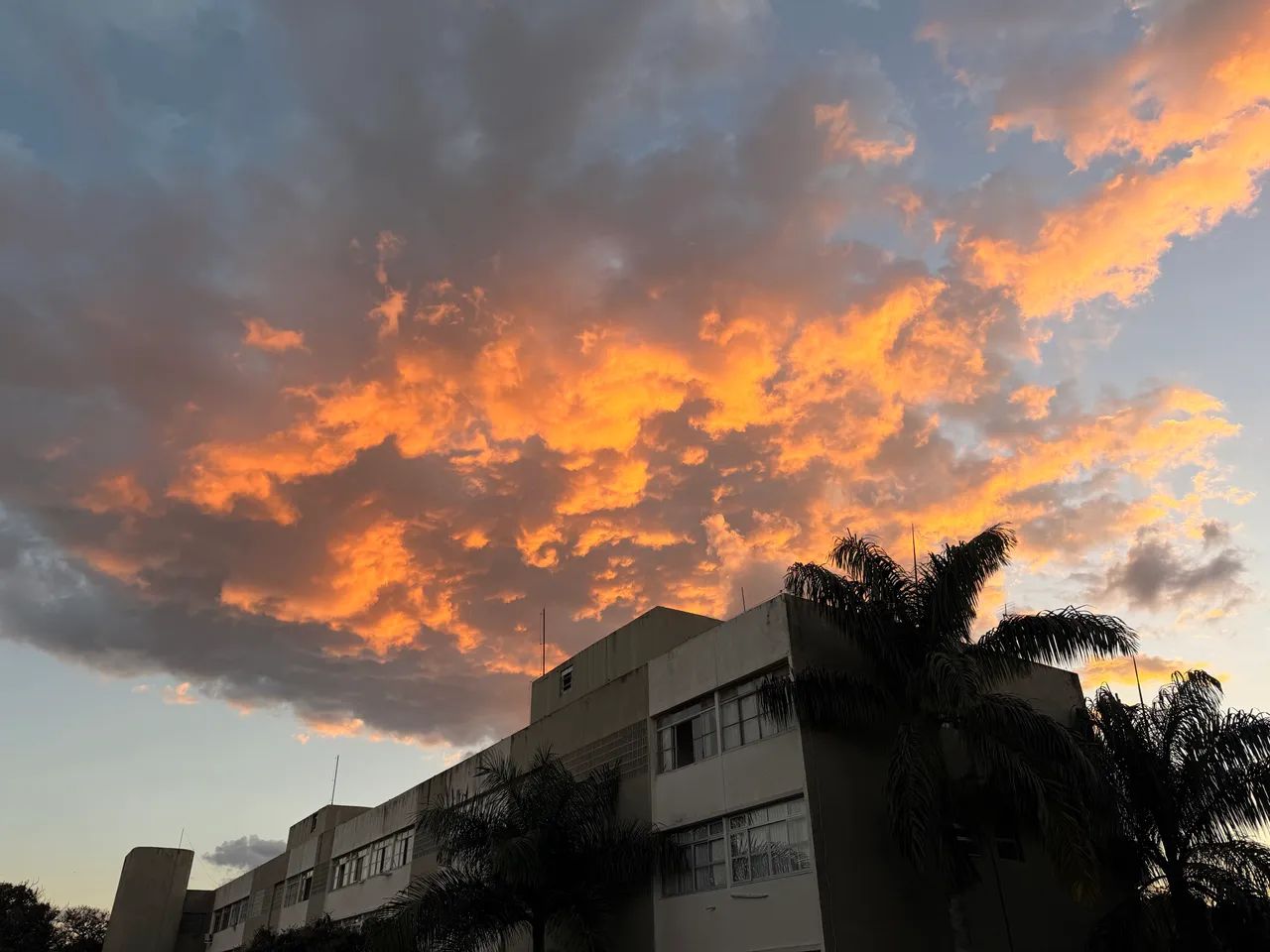 Aula de fotografias