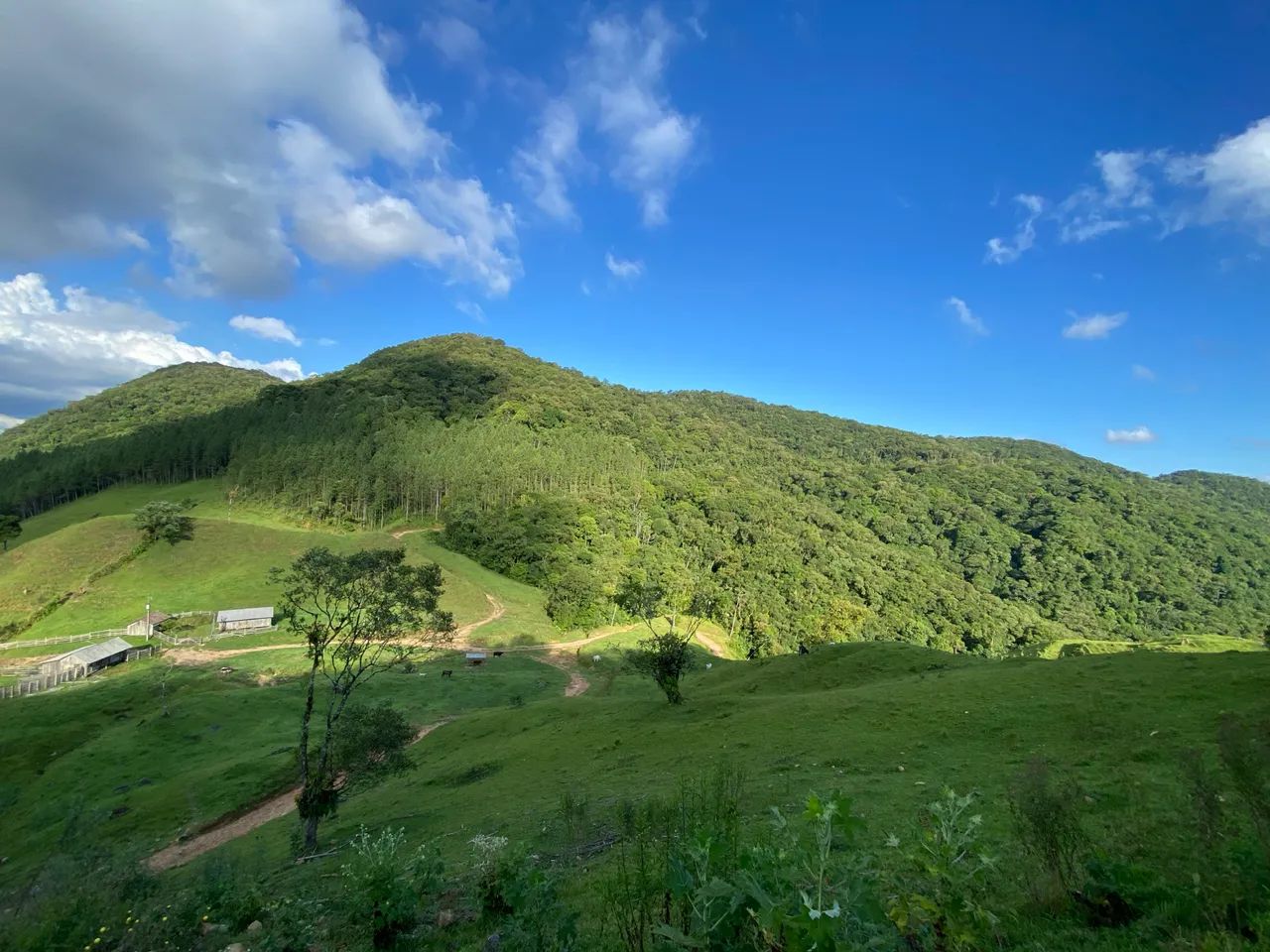 Foto - Jaraguá do Sul - Vieira