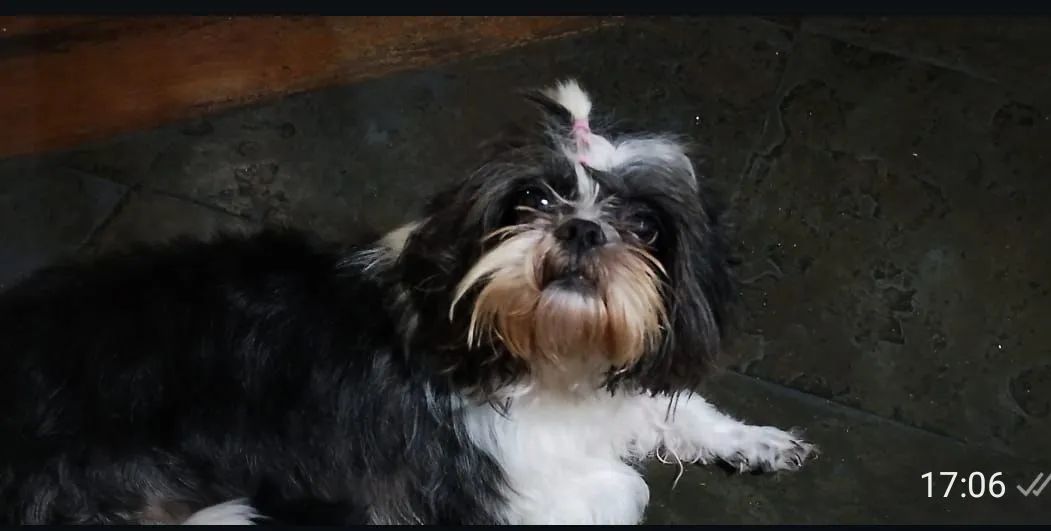 Vendo
