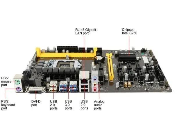 KIT DDR4 B250 PENTIUM GOLD 4G RAM