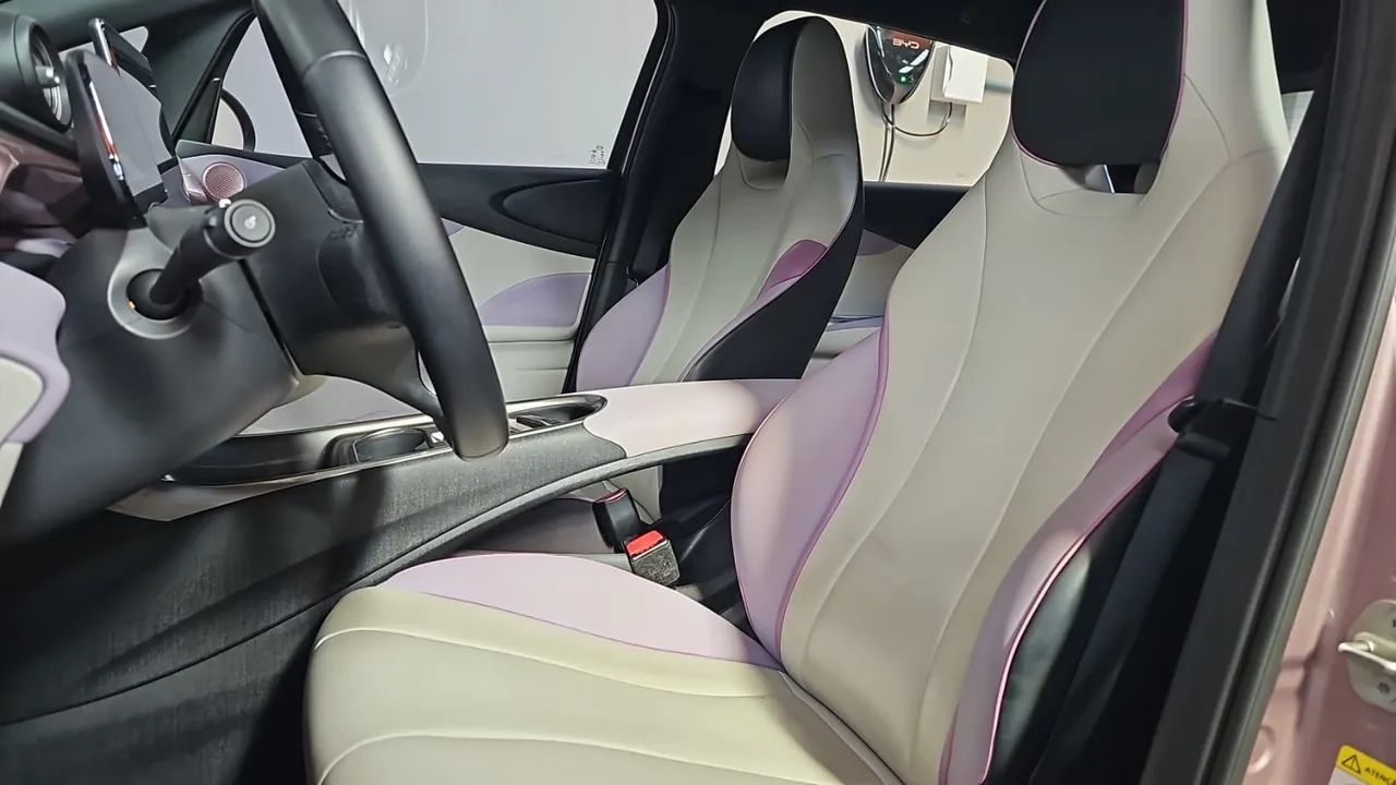 BYD Dolphin EV (Elétrico) 2024 - Foto 3