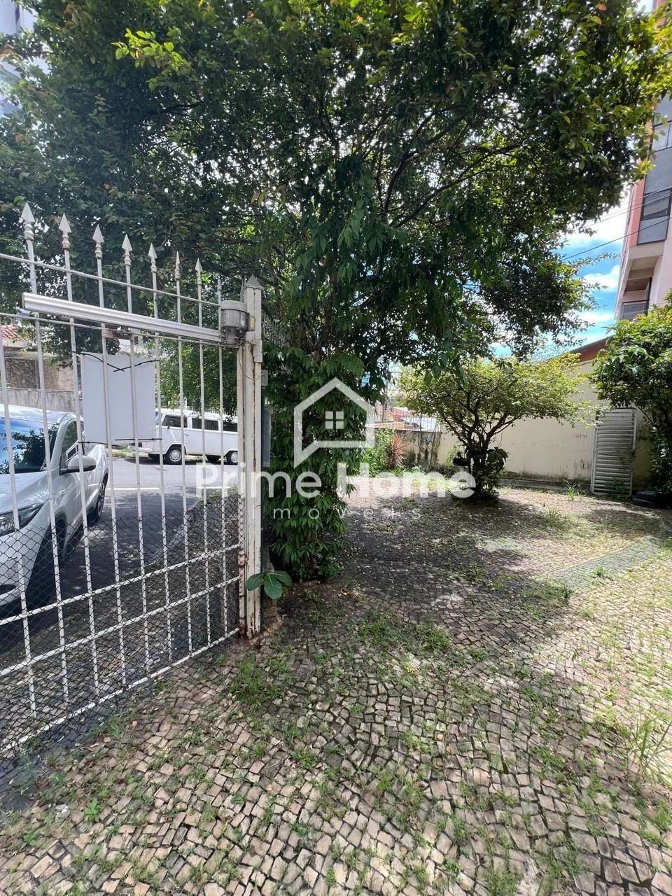 casa - Cambuí - Campinas - Foto 3