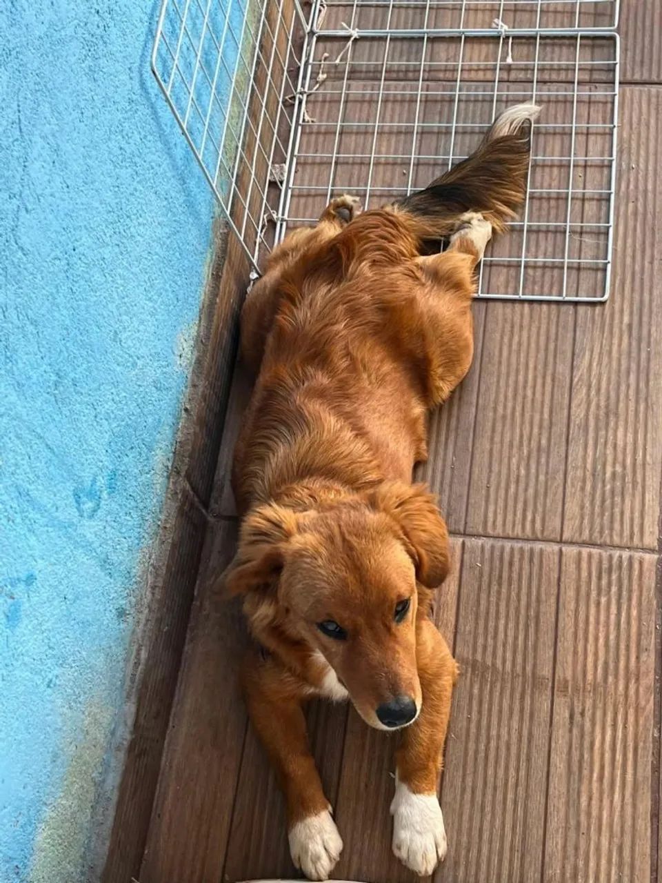 doação - Foto 2