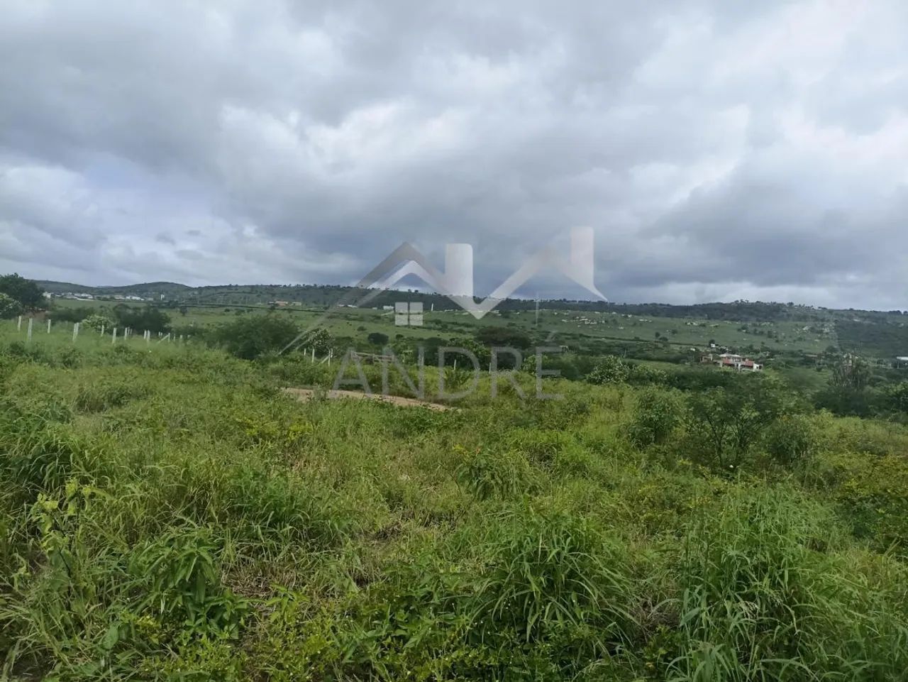Lote para Venda em Sairé, PLANALTO 710