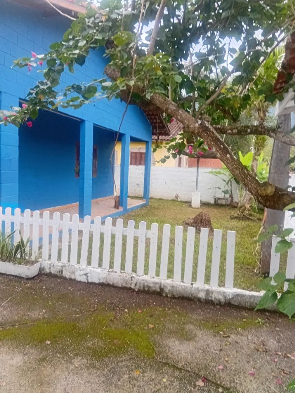 Foto - Bertioga - São João