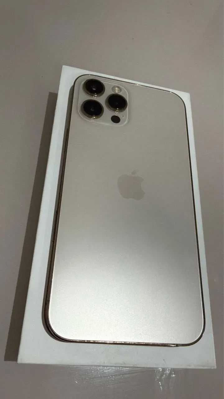 iPhone 12 Pro Max