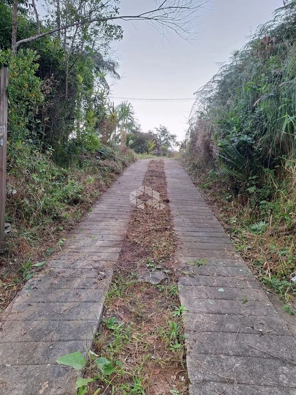SÍTIO EM PALHOÇA SC, BAIRRO SÃO SEBASTIÃO À VENDA. BAIXOU O PREÇO, 15 MIL REAIS DE DESCONT - Foto 2