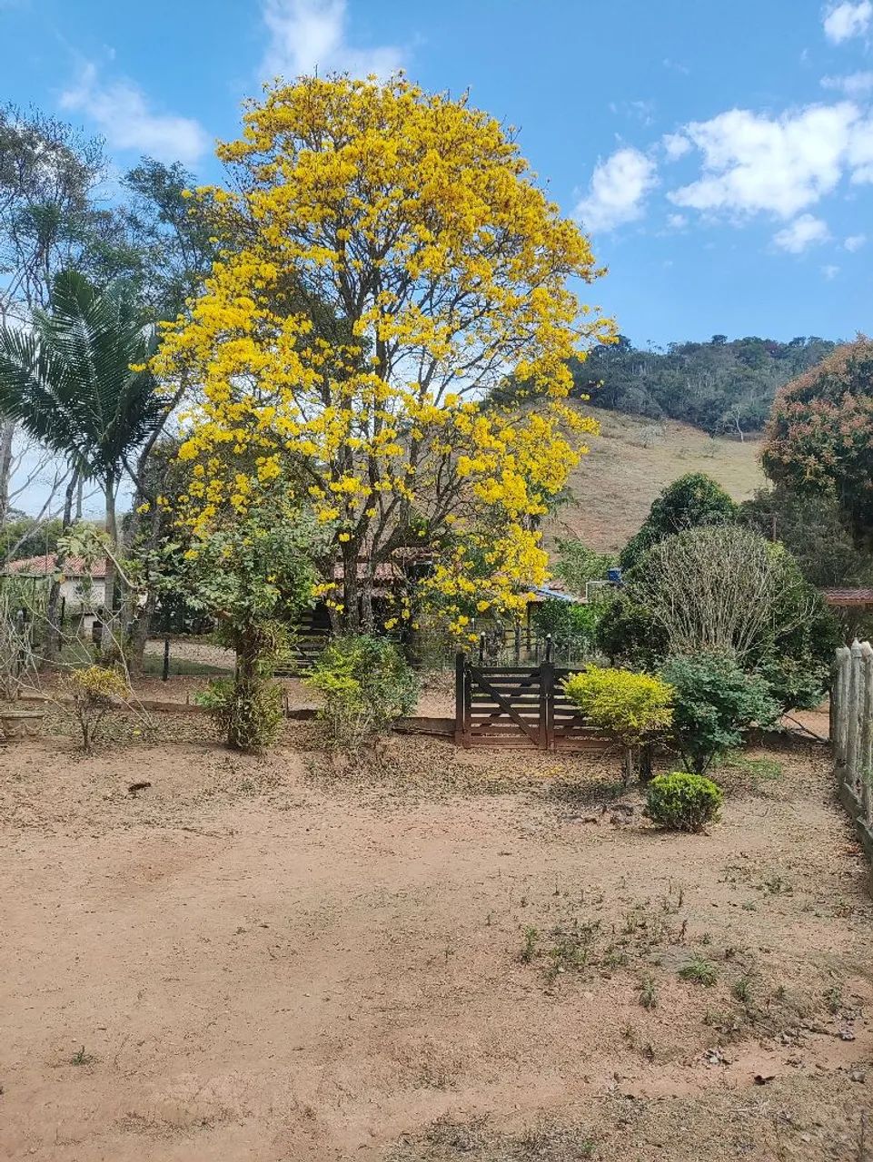 Chacara 1400m² ,há 100 metros da Br. - Foto 2