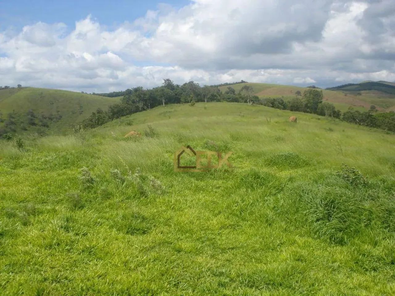Sítio á venda em Liberdade MG - Foto 4