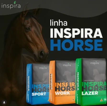 RAÇÃO INSPIRA HORSE 13% LAMINADA E MELAÇADA - Foto 3