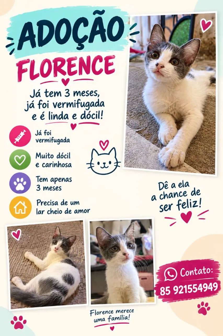 Adoção da Florence 