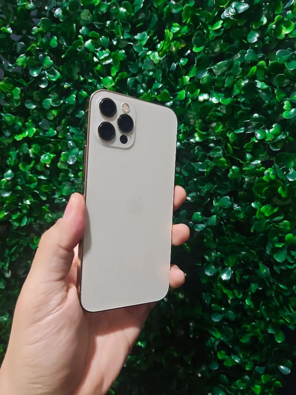 IPhone 12 pro